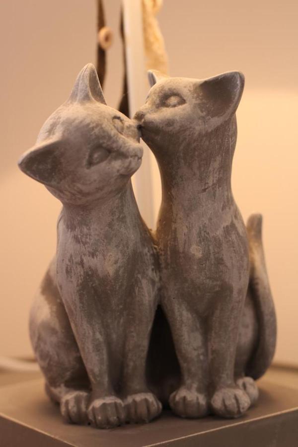 Au Coeur Du Chat Perche 阿奈勒德克 外观 照片