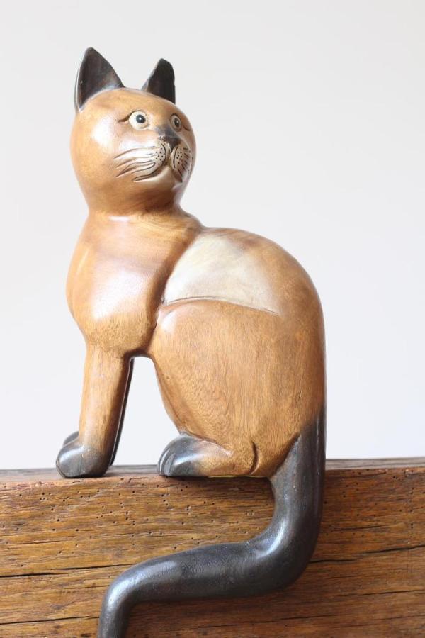 Au Coeur Du Chat Perche 阿奈勒德克 外观 照片